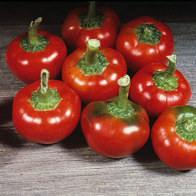 Pepper, Large Red Cherry Hot — Heirloom Vegetable and Flower Seeds of New  England