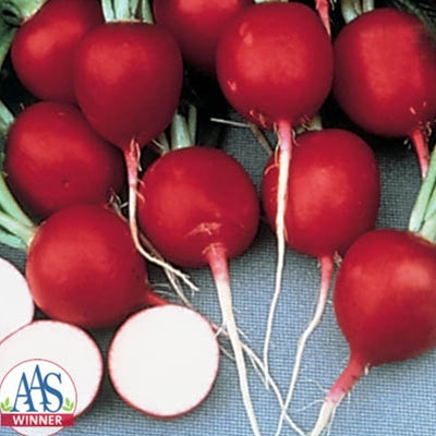 11 Types of Radishes You'll See at the Farmers Market This Year – Produce  Pack