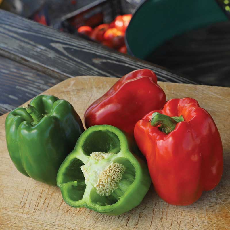 There's a Pepper Inside My Pepper! — In Defense of Plants