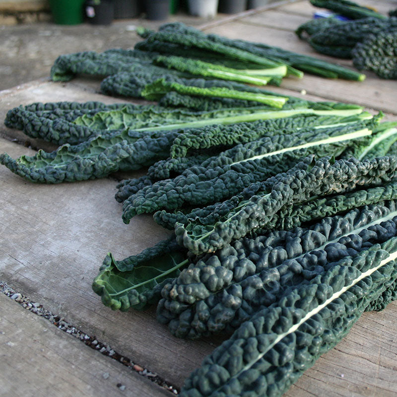 WHOLE FOODS MARKET Organic Collard Green, 1 each