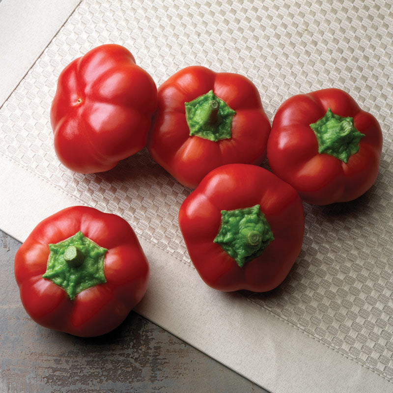How To Grow Sweet Red Peppers - And Get Them To Turn Red Too!