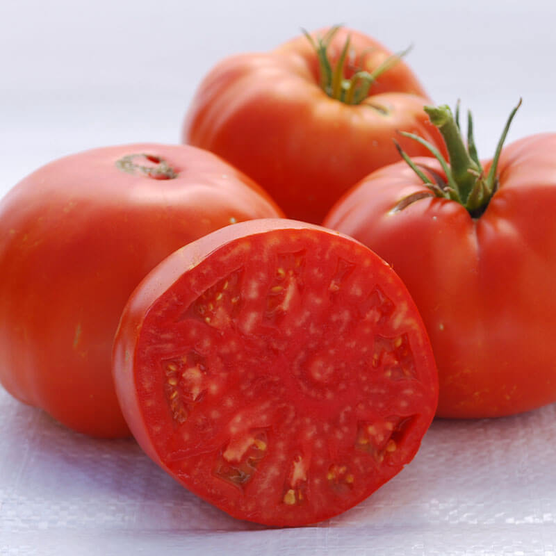 Brandywine, Red - Tomato