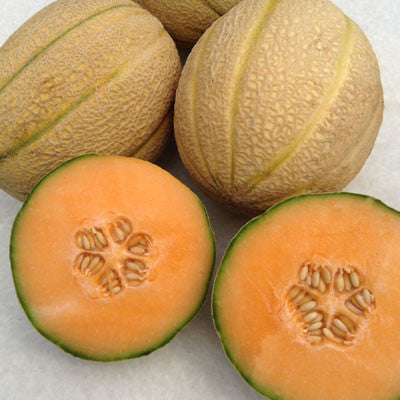 Orange Flesh Honey Dew Melon Seed