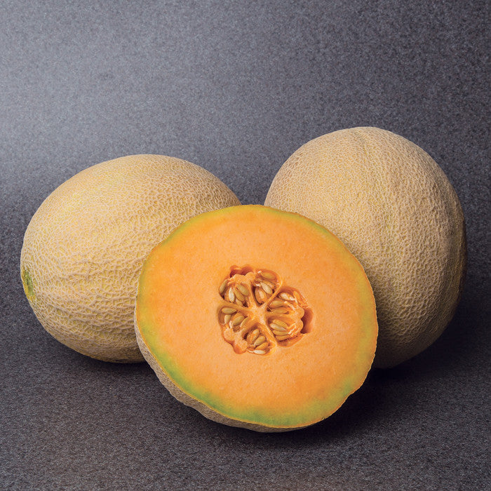 Orange Flesh Honeydew Melon  Seed Mail – Seed Mail Seed Co.