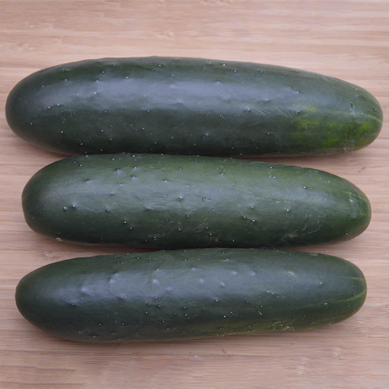 Slicer Cucumbers - Delight Quality Produce