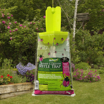 Rescue! Japanese Beetle Trap Disposable – Harris Seeds