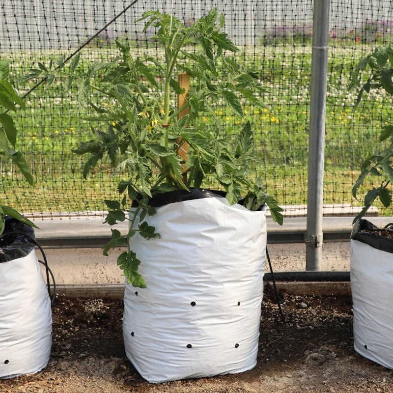1 2 3 Gal Tall Plant Grow Bags Veg Potato Transplanting Planting