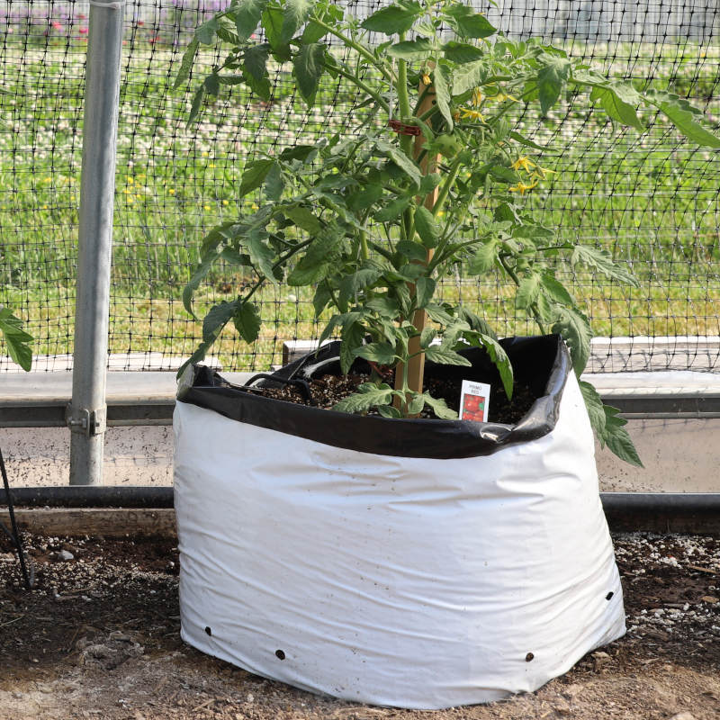 1 2 3 Gal Tall Plant Grow Bags Veg Potato Transplanting Planting