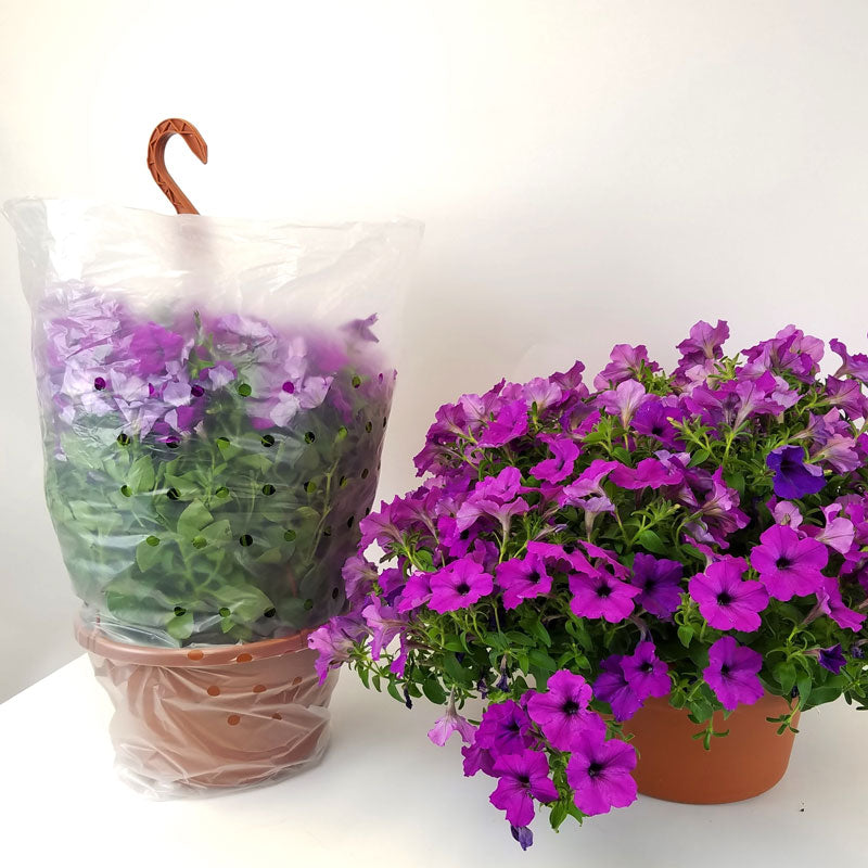 10 Hanging Basket Sleeves – Harris Seeds