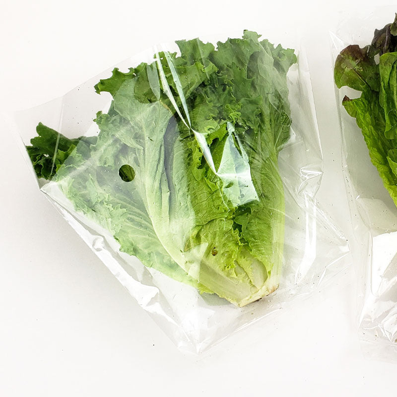 Hydroponic Salad box - (Tue-sat Subscription Free delivery)