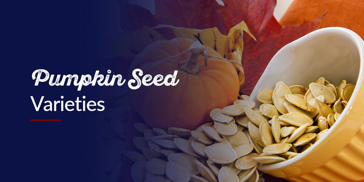 Pumpkin Seed Varieties - Growing Pumpkins From Seed