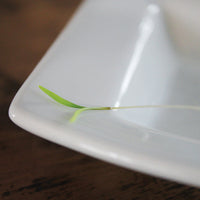 Dill Bouquet Seed