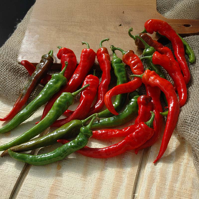 Pepper Cayenne Large Thick Seed