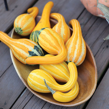 Gourd Spoon