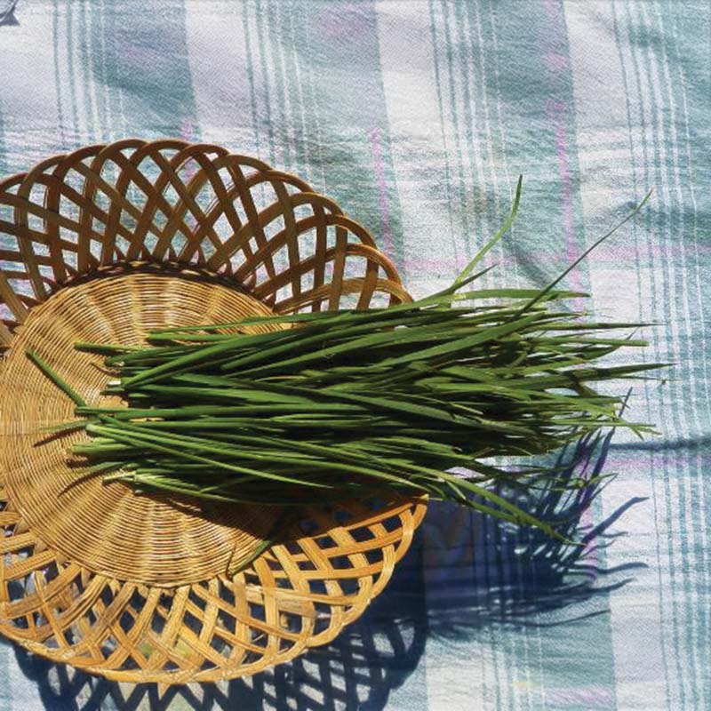 Chive Garlic Seed