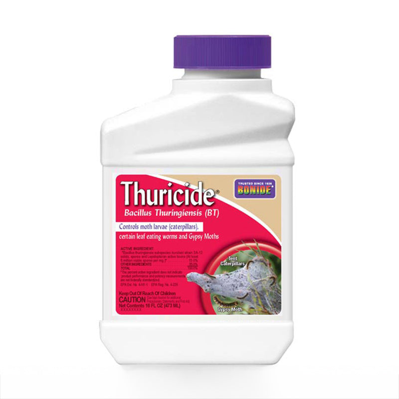 Bt For Caterpillars (Thuricide) 16 oz.