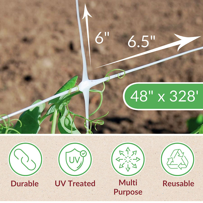 Cut Flower Netting 48" x 328'