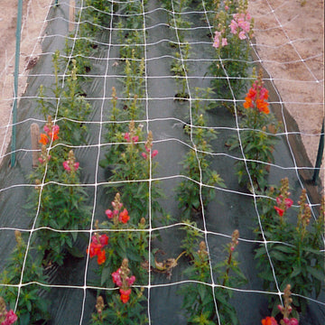 Cut Flower Netting 48" x 3280'