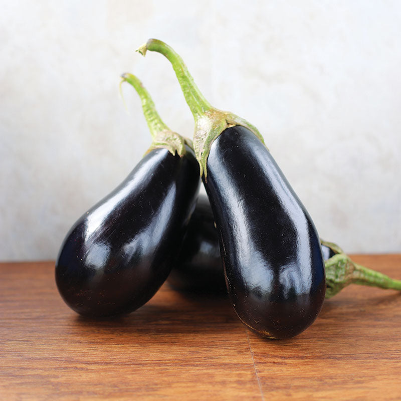 Eggplant Traviata F1 Organic Seed