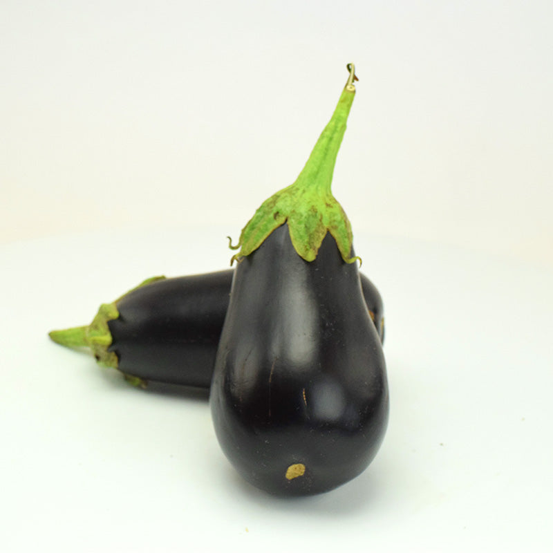 Eggplant Traviata F1 Organic Seed