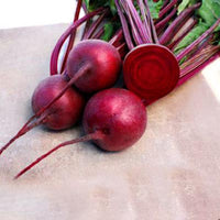 Beet Eagle F1 Seed