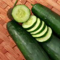 Cucumber Paraiso F1 Organic Seed