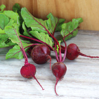 Beet Detroit Dark Red Seed