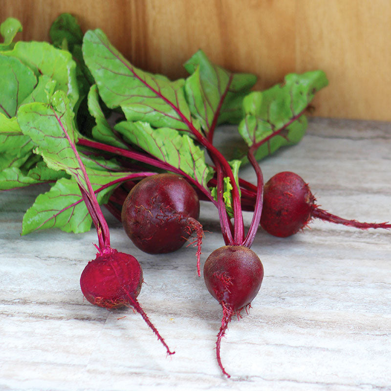 Beet Detroit Dark Red Seed