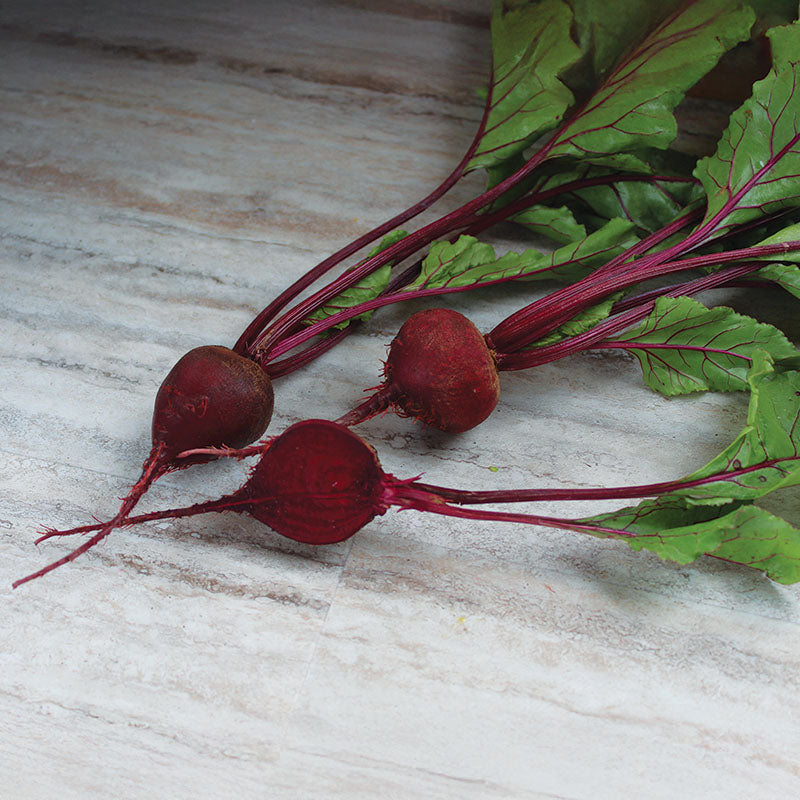 Beet Detroit Dark Red Seed