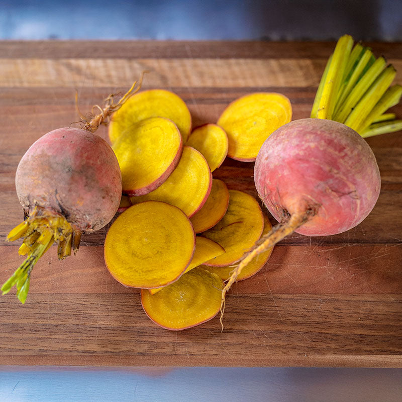 Beet Touchstone Gold Seed