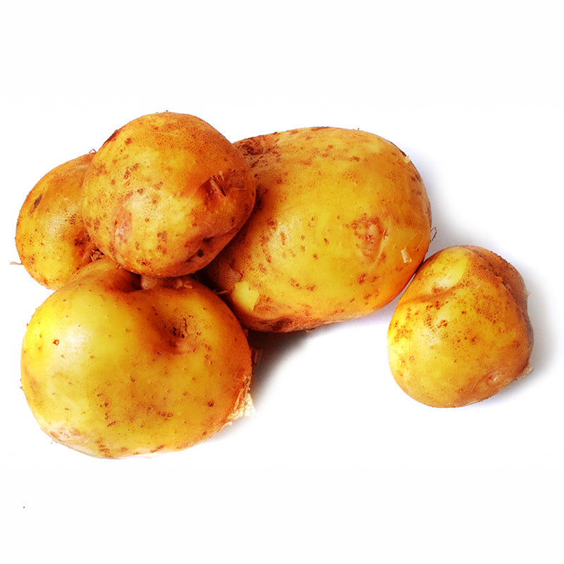 Potato Yukon Gold