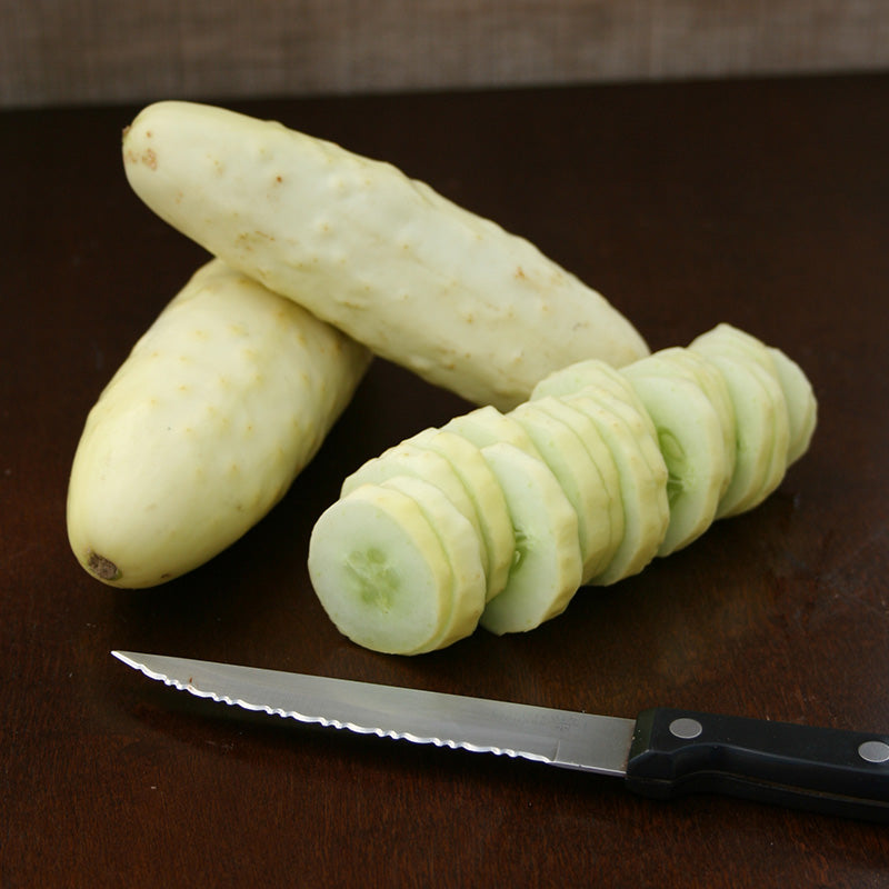 Cucumber Silver Slicer Seed