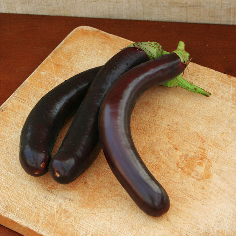 Eggplant Hansel F1 Seed