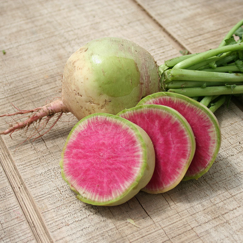 Radish Watermelon Seed