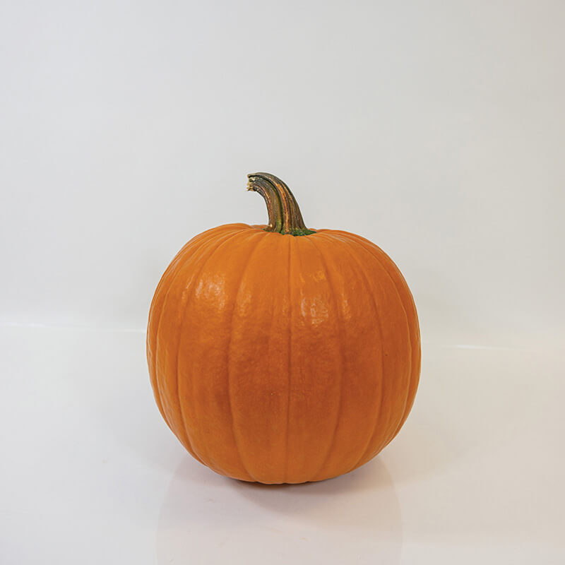 Pumpkin Hannibal F1 Seed