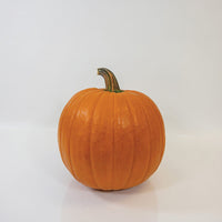 Pumpkin Hannibal F1 Seed