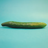 Cucumber Tasty Green F1 Organic Seed