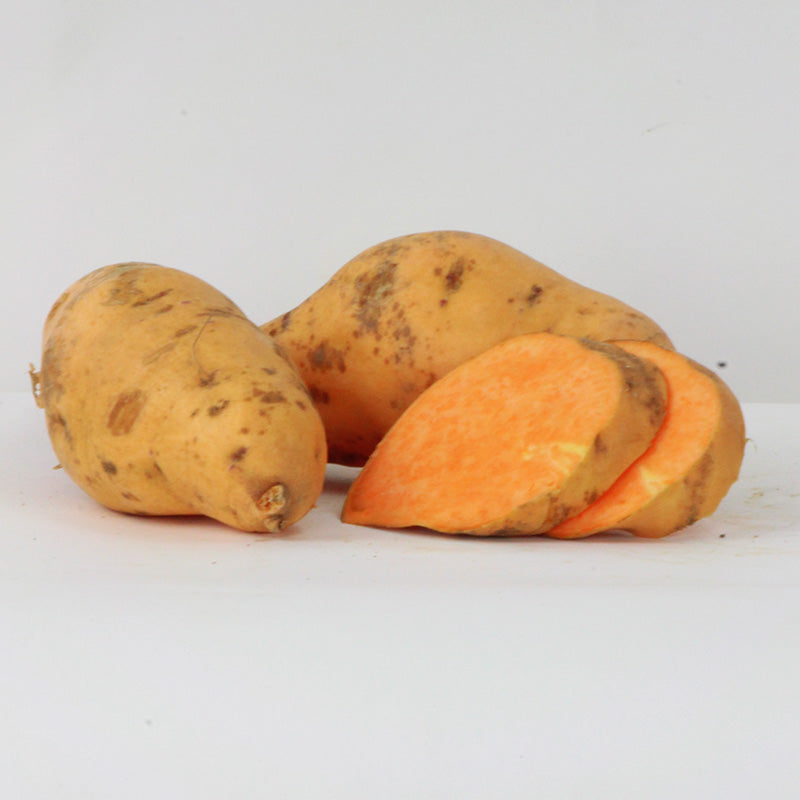 Sweet Potato Vardaman