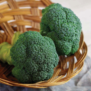 Broccoli Eastern Crown F1 Seed