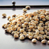 Cowpea Coronet Seed