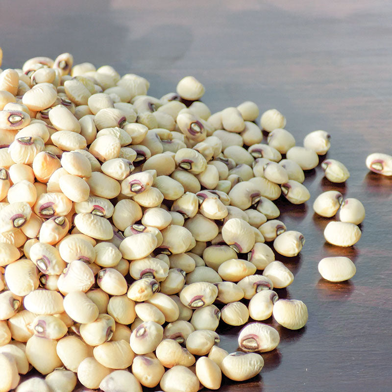 Cowpea Coronet Seed