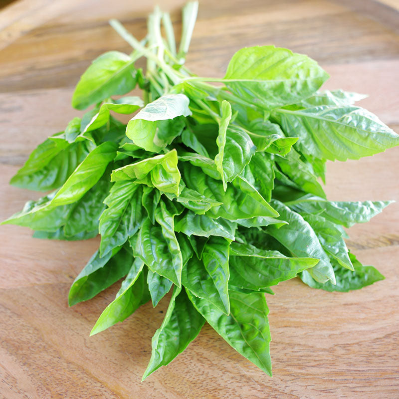 Basil Rutgers Passion DMR Seed