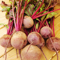 Beet Red Atlas F1 Seed