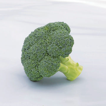 Broccoli Batory F1 Seed