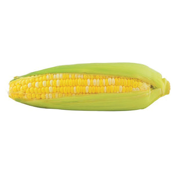 Sweet Corn EX08767143 F1 Seed