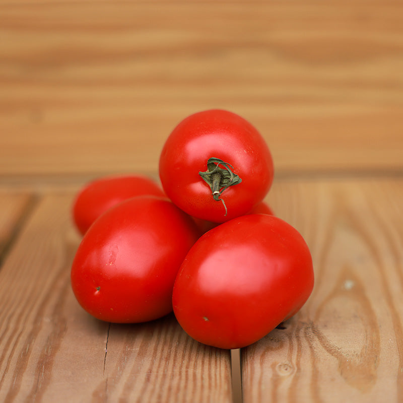 Tomato Atrevido F1 Seed