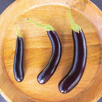 Eggplant Turkish Delite F1 Organic Seed