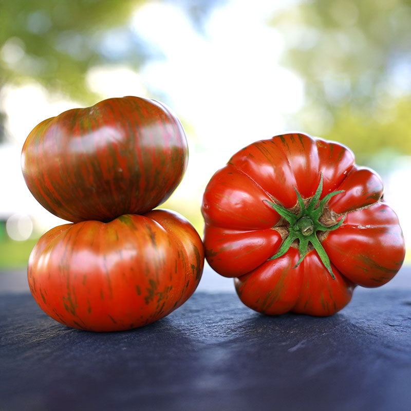 Tomato Beefy Purple Seed