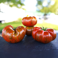 Tomato Beefy Purple Seed