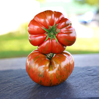 Tomato Beefy Purple Seed